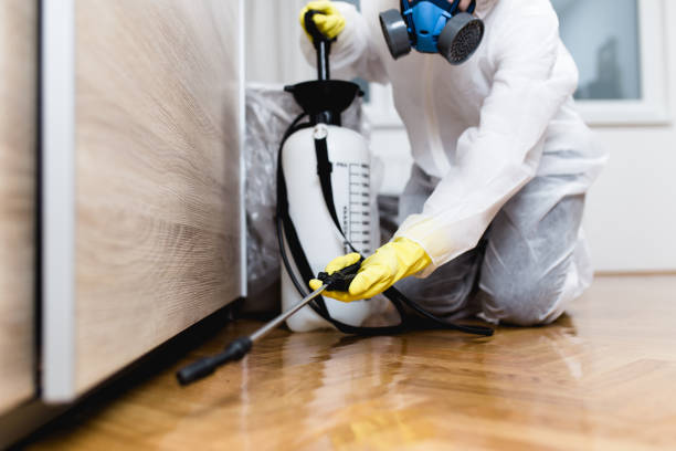 Best Pest Control Near Me in Milford Square, PA