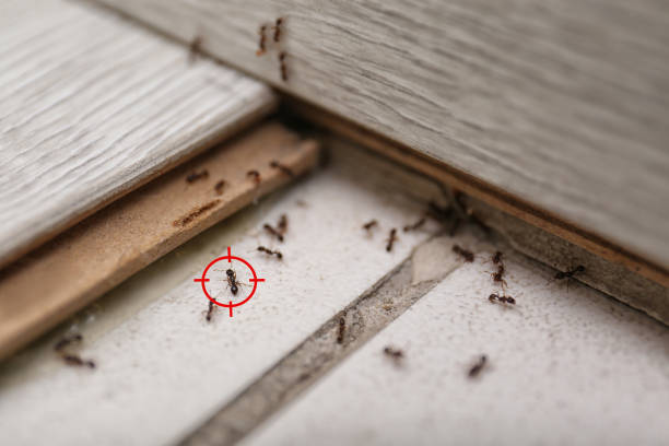 Best Wildlife Control Services  in Milford Square, PA
