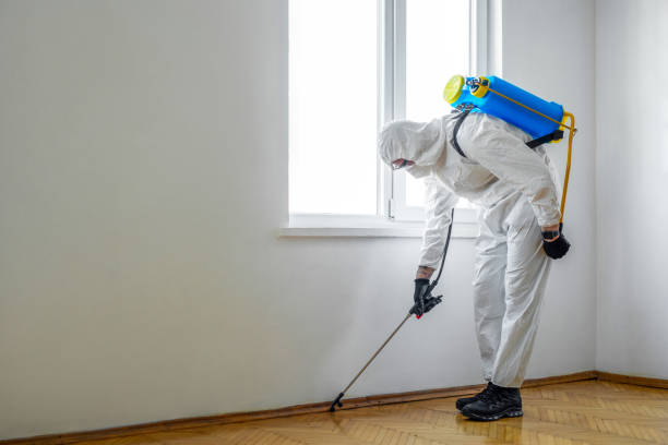 Best Pest Removal Services  in Milford Square, PA