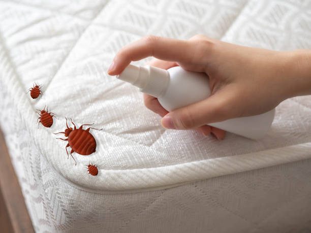 Best Best Pest Control Near Me  in Milford Square, PA