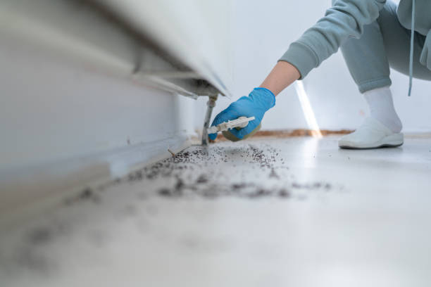 Best Wasp Removal Services  in Milford Square, PA